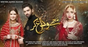 Mujhay Vida Kar drama OST