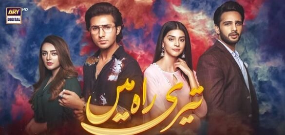 drama serial Teri Rah Mein
