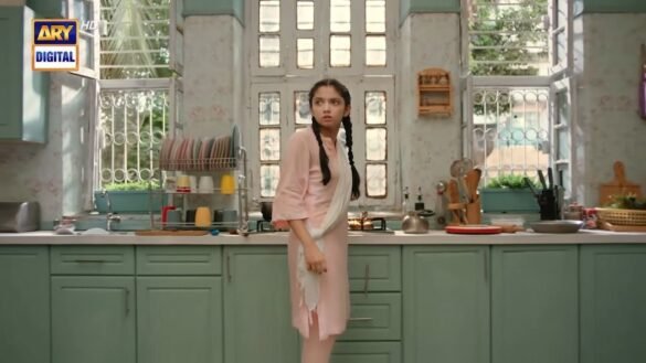 First look, start date, cast & storyline of ARY Digital drama serial Mayi Ri