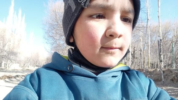 Meet the Youngest Internet Sensation: Shirazi Village Vlogs