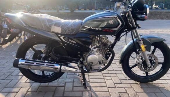 Yamaha YB125Z 2024