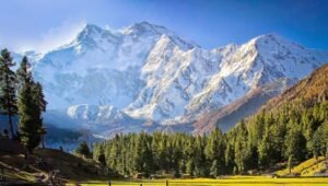 woman dies Nanga Parbat