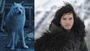 dire wolves
