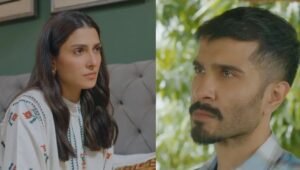 Humraaz last episode