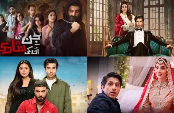 Sher Episode 27: The story of Sher Zamanand Fajar reaches a new ...
