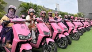 Pink Scooty Program