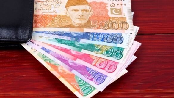 new Pakistani currency
