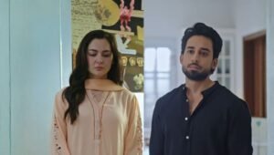 Meri Zindagi Hai Tu Episode 29