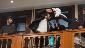 male lawyer attacks female