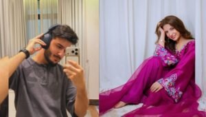 dananeer mobeen shahveer jafry drama