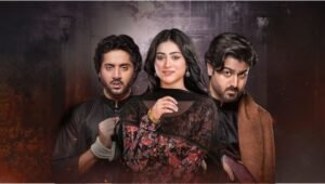 ghulam basha sundri finale