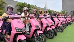 pink ev scooter scheme sindh