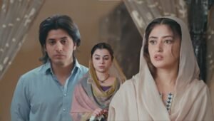 zanjeerain episode 22